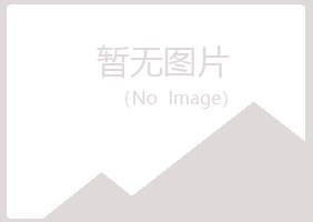 防城港夏岚材料有限公司